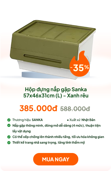 Hộp đựng nắp gập Sanka 57x46x31cm (L) - Xanh rêu